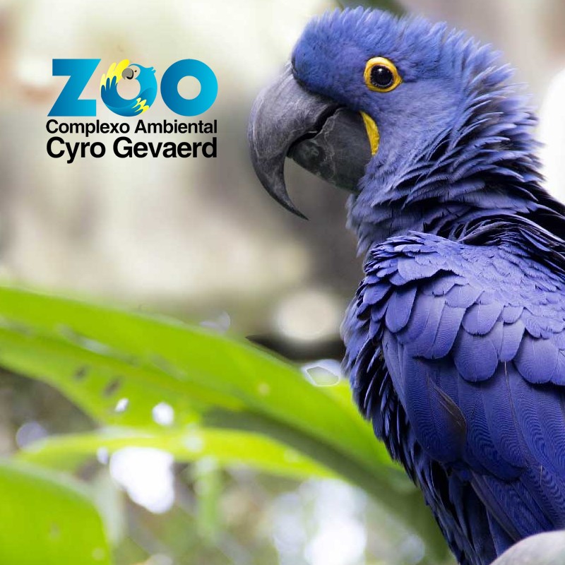 Zoo Balneário Camboriú